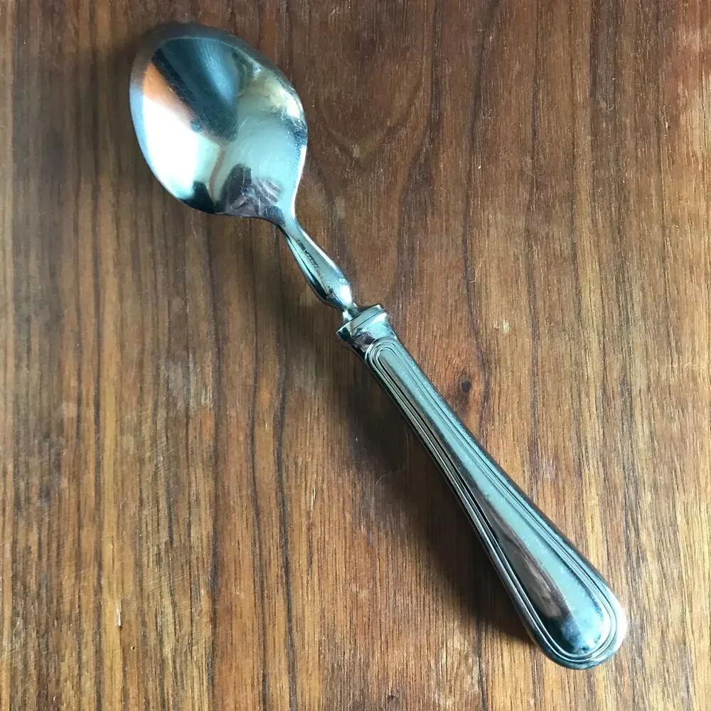 Williams Sonoma WSF15 Stainless France Glossy Silverware Single Oval Place Spoon